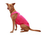 PRODOGG™ Anti-Anxiety Compression Shirt - Large to 2XL 159101B