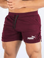 Summer Mesh Quick Drying Shorts, Men Sports Casual Shorts, Breathable Fitness Outdoor Running.