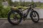 eBike Boys 52V 750W Adult eBike - 17AH Battery, Top Speed 32km/h