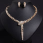 S925 Silver and Zircon Snake-Design Necklace and Earrings Jewelry Set