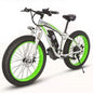 Electric Mountain Bike with 21-Speed Gear System - Lithium Battery for Snow and Off-Road Adventures