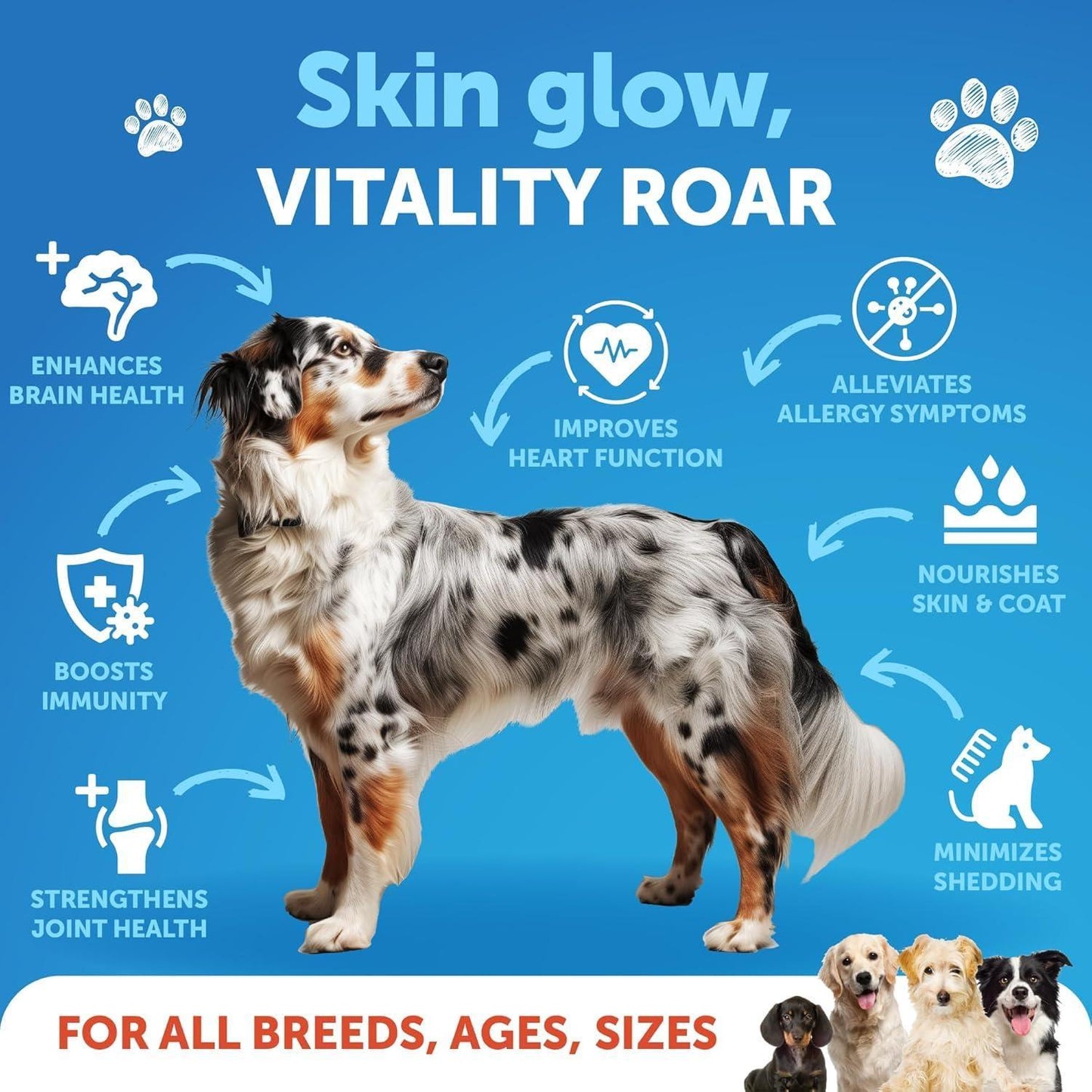Salmon Oil for Dogs Omega 3 for Dogs 16 FL OZ Wild Alaskan Salmon Fish Oil