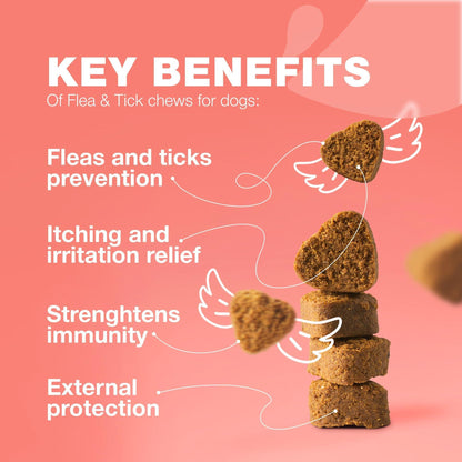 Dog Insects Treatment Chews Prevention for Dogs Natural Dog Insects Control