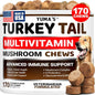 Turkey Tail Mushroom for Dogs Multivitamin Supplement Immune Support