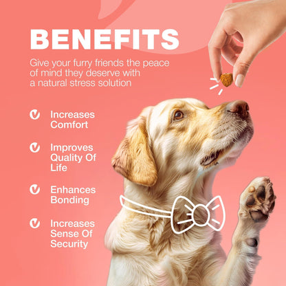 Dog Insects Treatment Chews Prevention for Dogs Natural Dog Insects Control