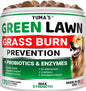 Green Lawn Chews for Dogs Probiotics and Digestive Enzymes Supplement Gut