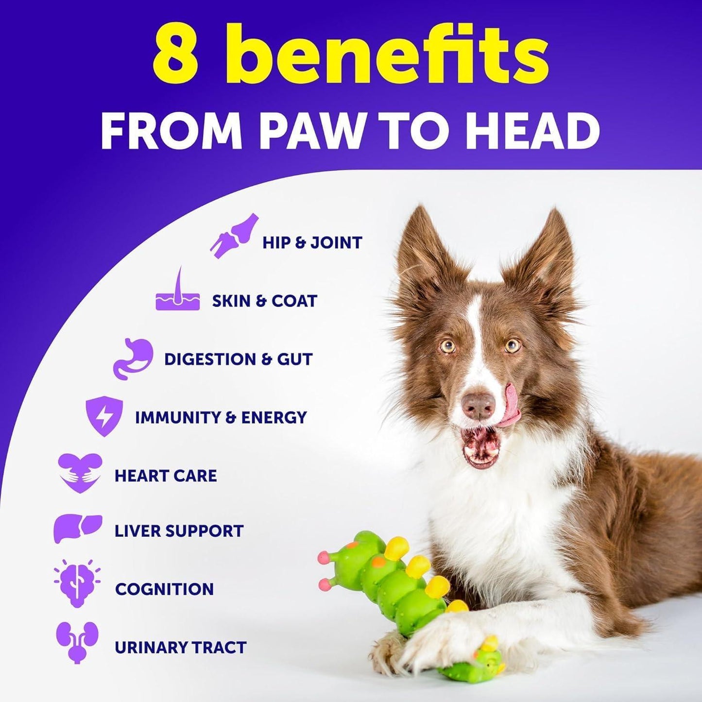 Dog Multivitamin Chewable with Glucosamine 26 in 1 Dog Vitamins and Supplements Senior & Puppy Multivitamin for Dogs Pet Joint Support Health Immunity Mobility Gut Skin 120 Chews