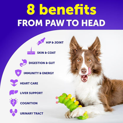 Dog Multivitamin Chewable with Glucosamine 26 in 1 Dog Vitamins and Supplements Senior & Puppy Multivitamin for Dogs Pet Joint Support Health Immunity Mobility Gut Skin 120 Chews
