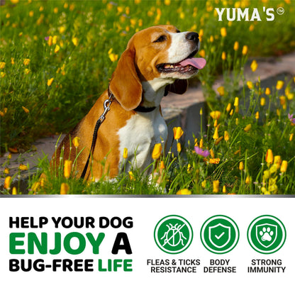 Flea and Tick Prevention for Dogs Chewables 170 Treats Natural Dog Flea and Tick Treatment Chewable Flea and Tick Chews for Dogs Soft Oral Flea Pills for Dogs All Breeds & Ages Made in USA
