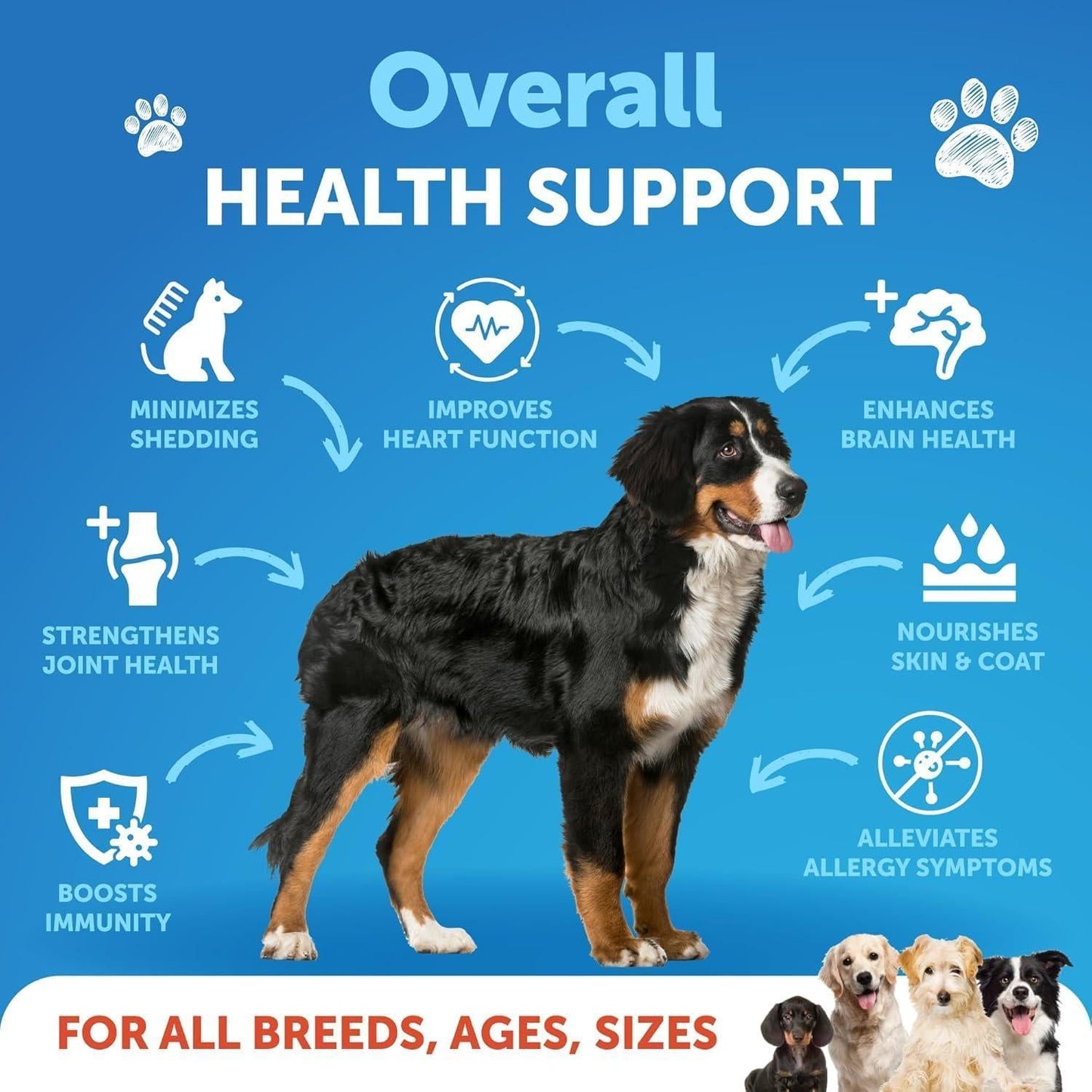 Omega 3 Fish Oil for Dogs 16 FL OZ Better Than Salmon Oil Skin and Coat Defense