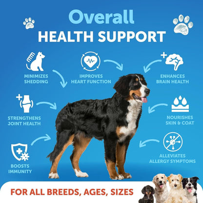 Omega 3 Fish Oil for Dogs 16 FL OZ Better Than Salmon Oil Skin and Coat Defense