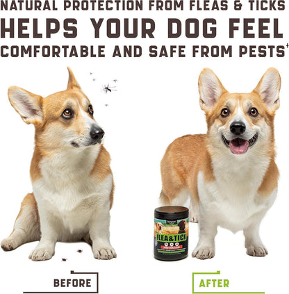 Flea and Tick Prevention Chewable for Dogs No Collars, No Mess Easy Help with Flea and Tick for Dogs American Quality for All Breeds and Ages DuckFlavored Treats 180 Flea Chews for Dogs